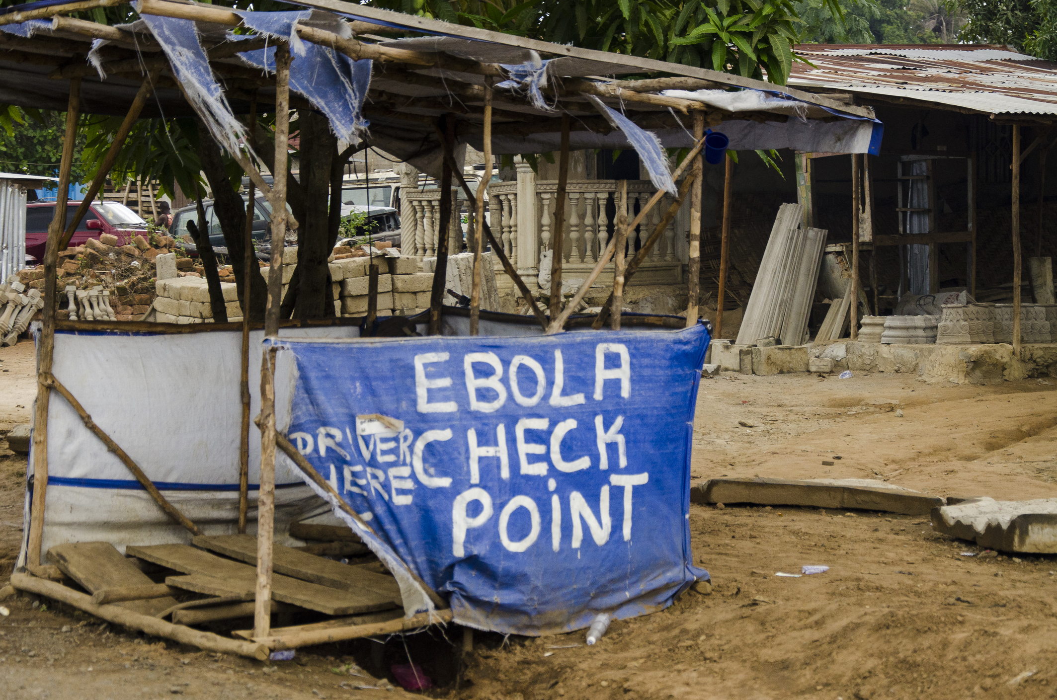 2014 Ebola Epidemic